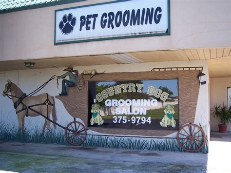 pet supplies plus new port richey fl|cheap dog groomers near me.